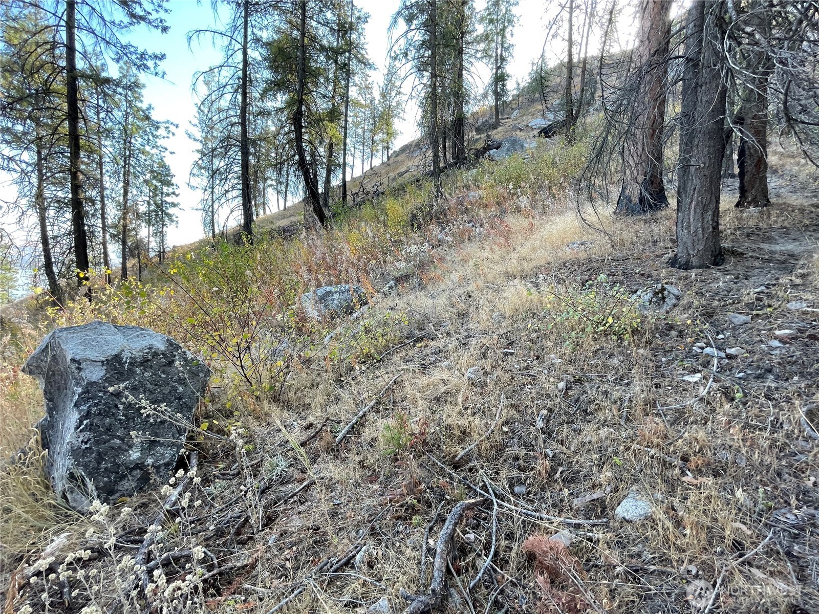 1 S. Lakeshore Road Chelan WA 98816