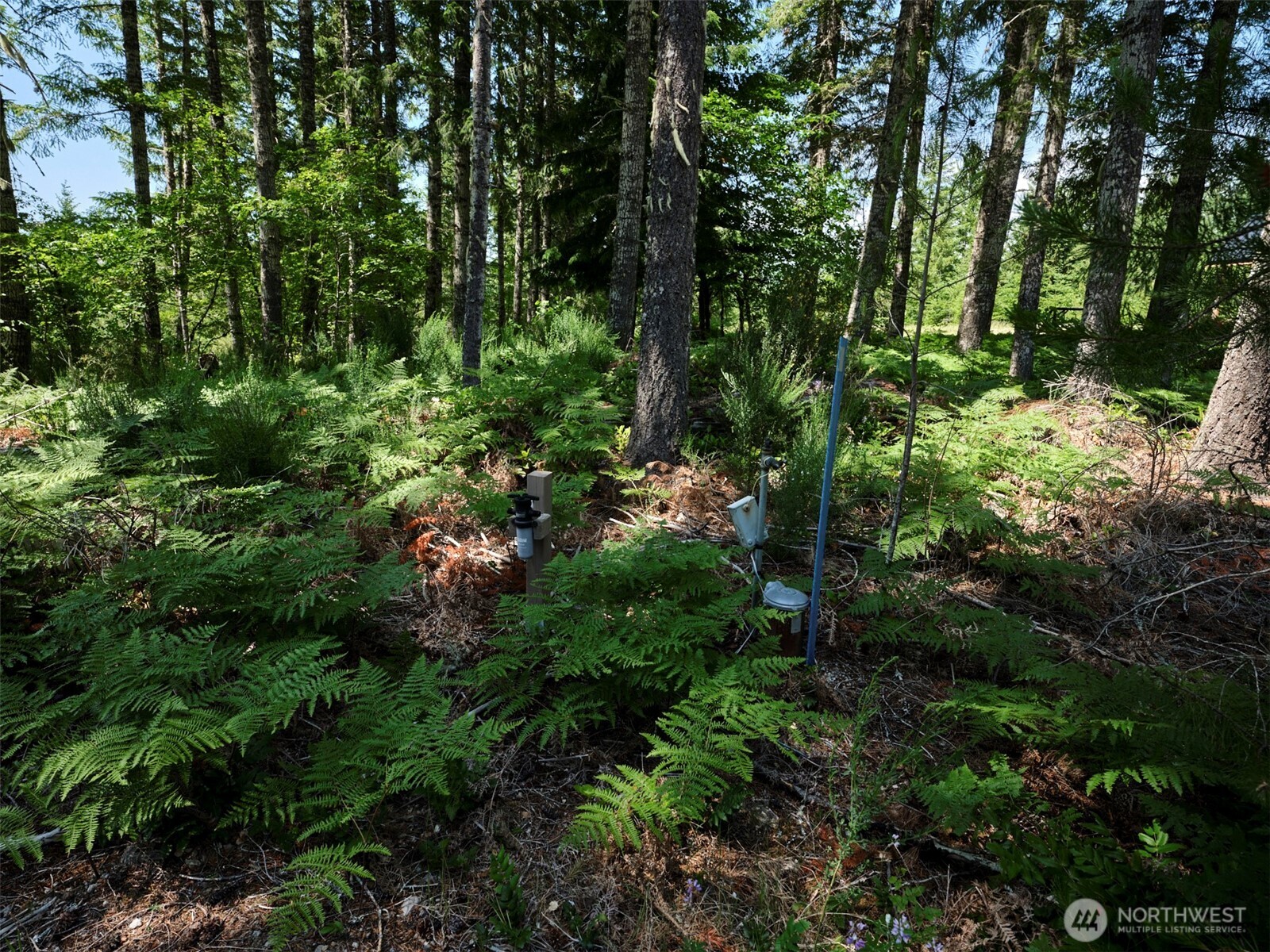 0 Phyllis Ann Block Court Cougar WA 98616
