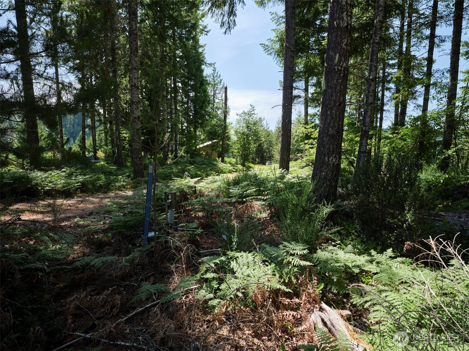 0 Phyllis Ann Block Court Cougar WA 98616
