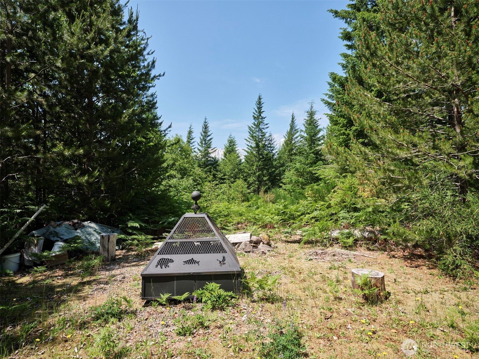 0 Phyllis Ann Block Court Cougar WA 98616
