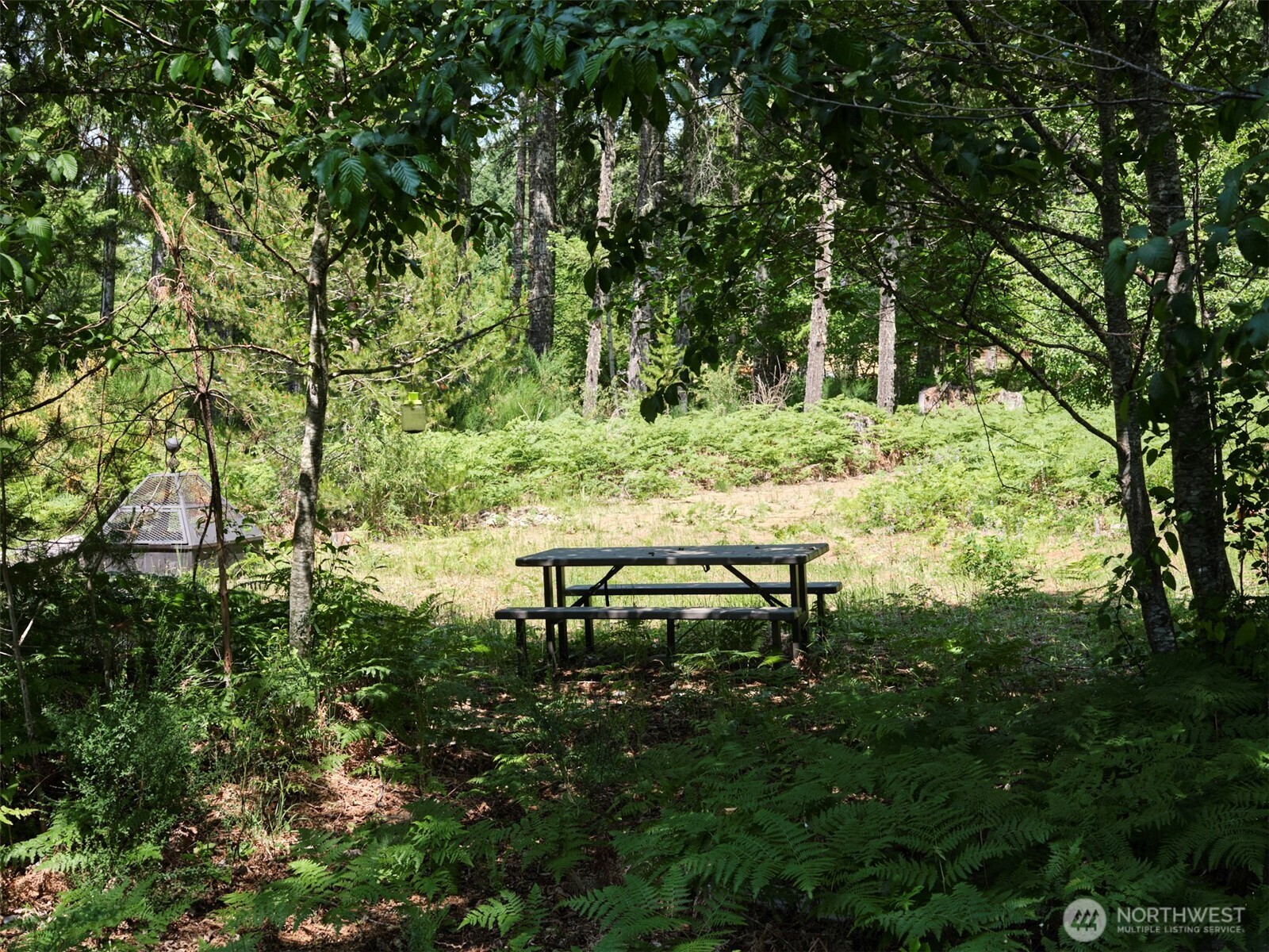 0 Phyllis Ann Block Court Cougar WA 98616