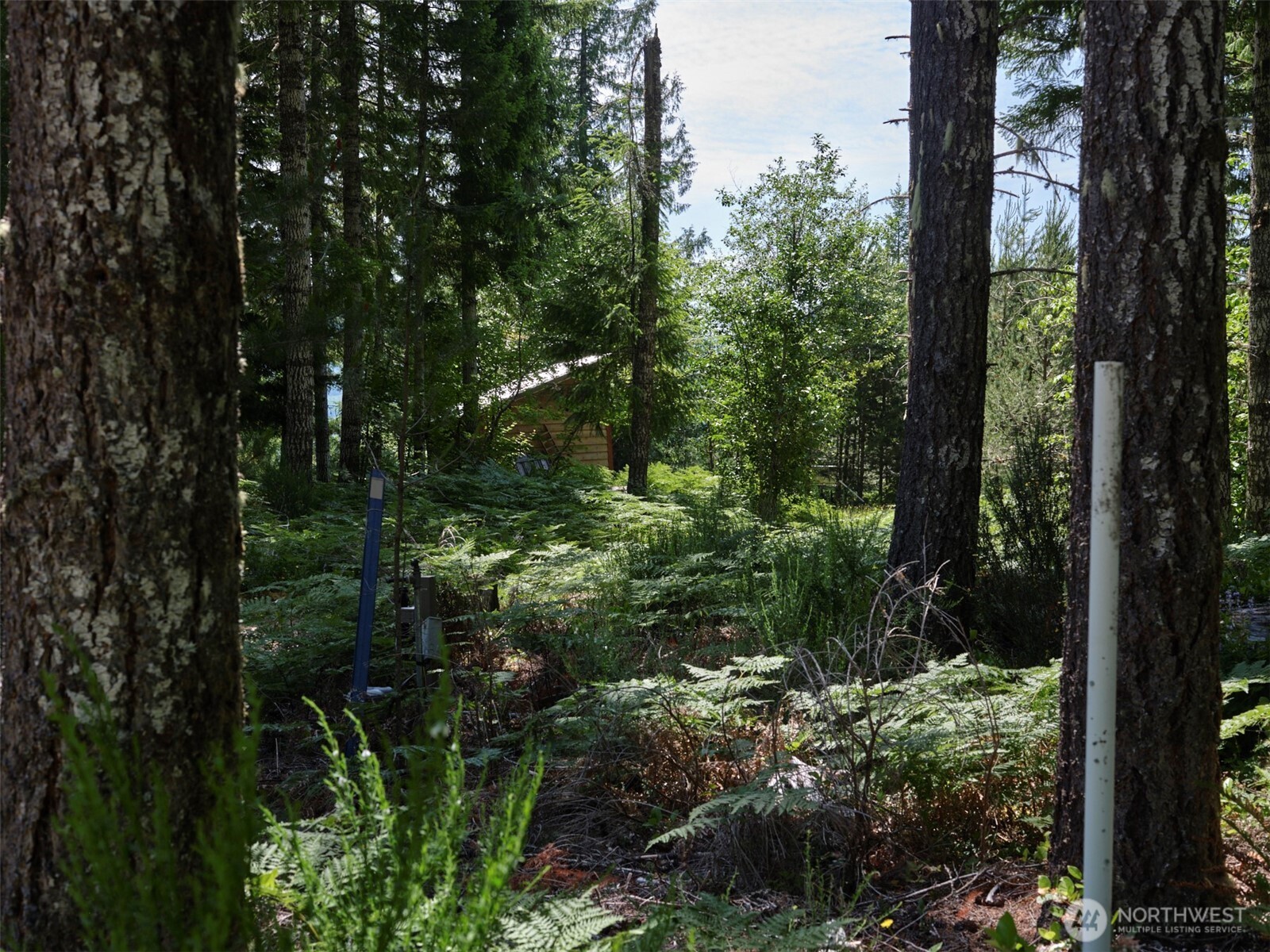 0 Phyllis Ann Block Court Cougar WA 98616