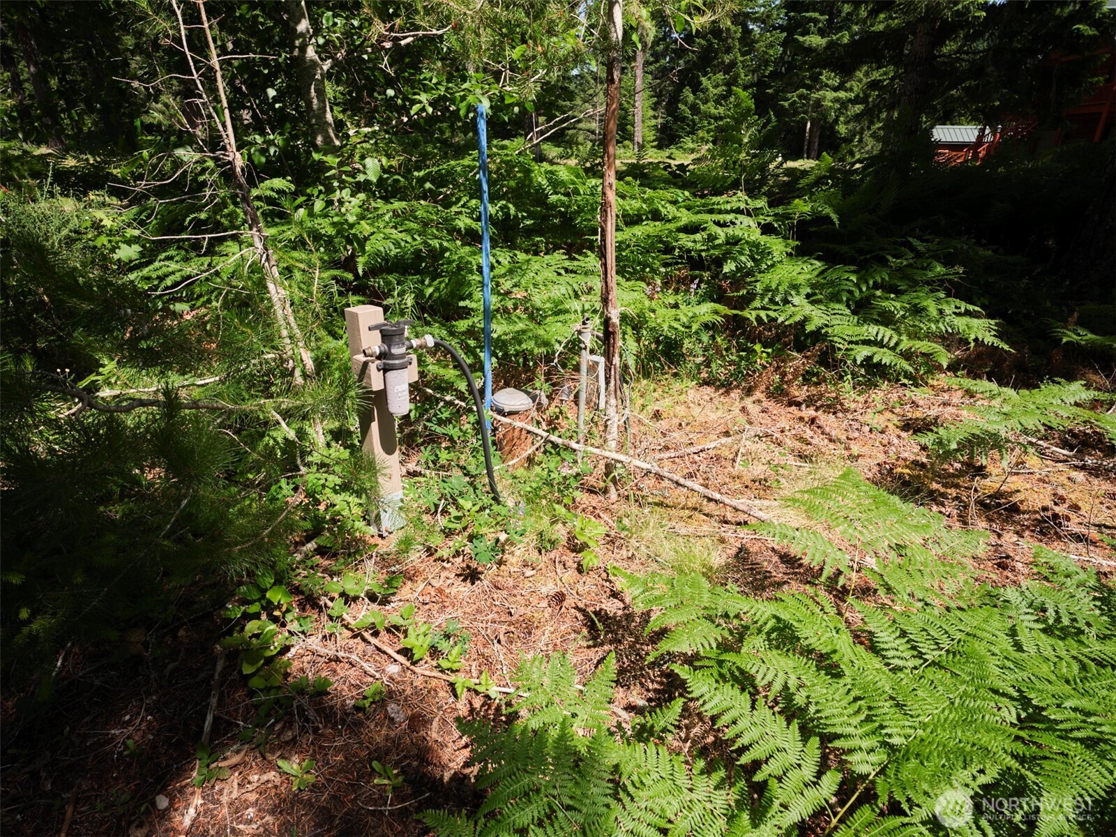 0 Phyllis Ann Block Court Cougar WA 98616