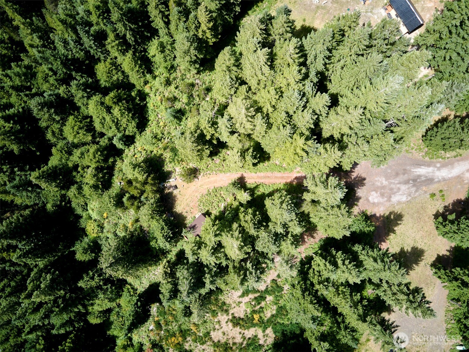 0 Phyllis Ann Block Court Cougar WA 98616
