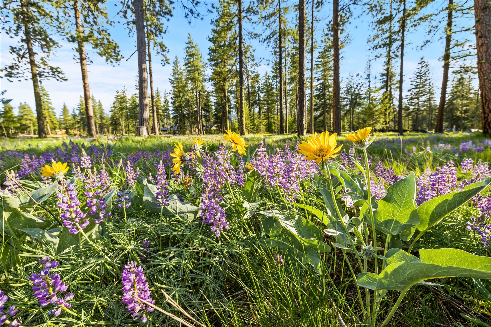 80 Wanawish Loop Cle Elum WA 98940