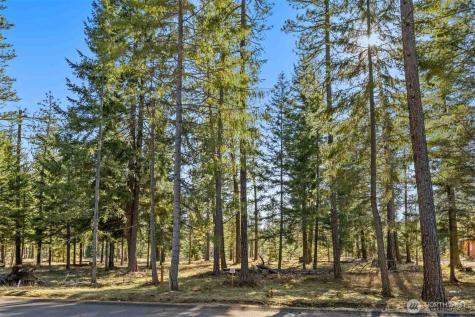 80 Wanawish Loop Cle Elum WA 98940