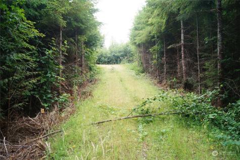 0 Wynooche Wishkah Road Montesano WA 98563