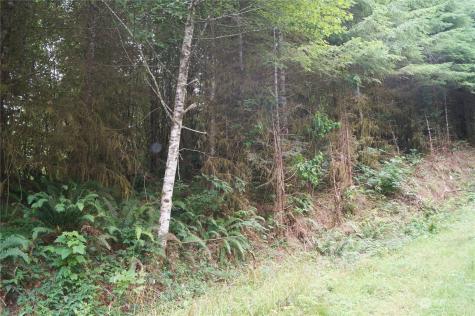 0 Wynooche Wishkah Road Montesano WA 98563