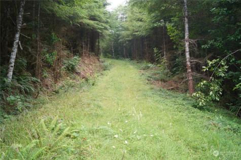 0 Wynooche Wishkah Road Montesano WA 98563