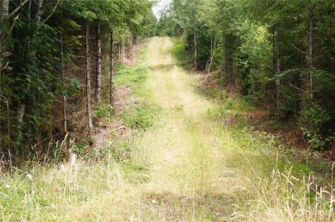 0 Wynooche Wishkah Road Montesano WA 98563