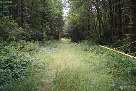 0 Wynooche Wishkah Road Montesano WA 98563