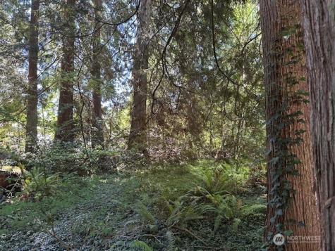 13705 W Lake Kathleen Drive SE Renton WA 98059