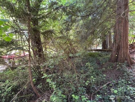 13705 W Lake Kathleen Drive SE Renton WA 98059