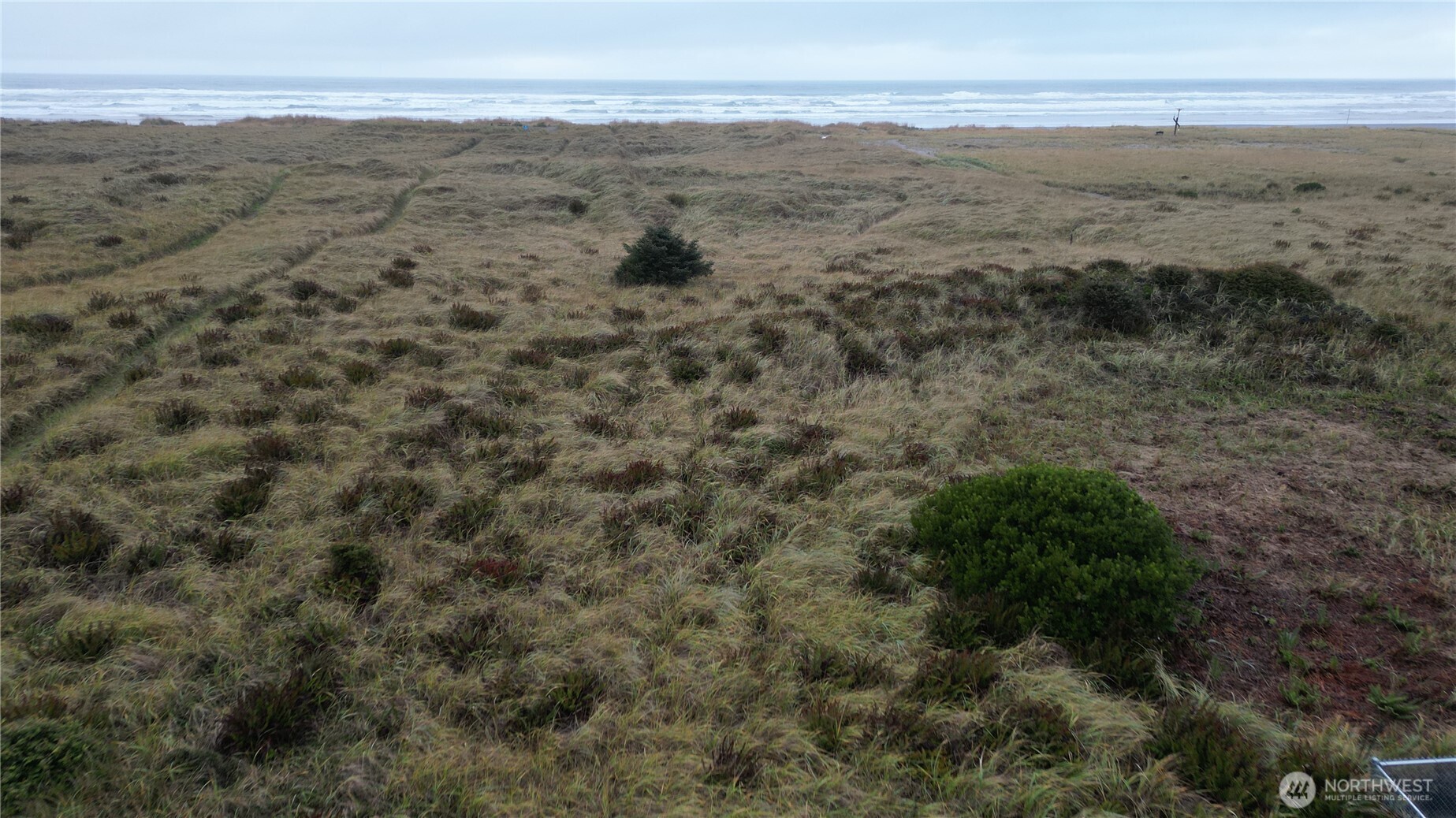 33707 G Street Ocean Park WA 98640