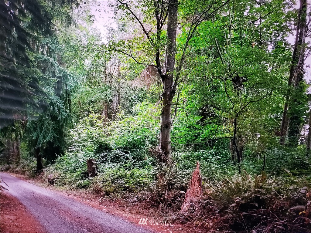 317 51st Avenue SW Federal Way WA 98023