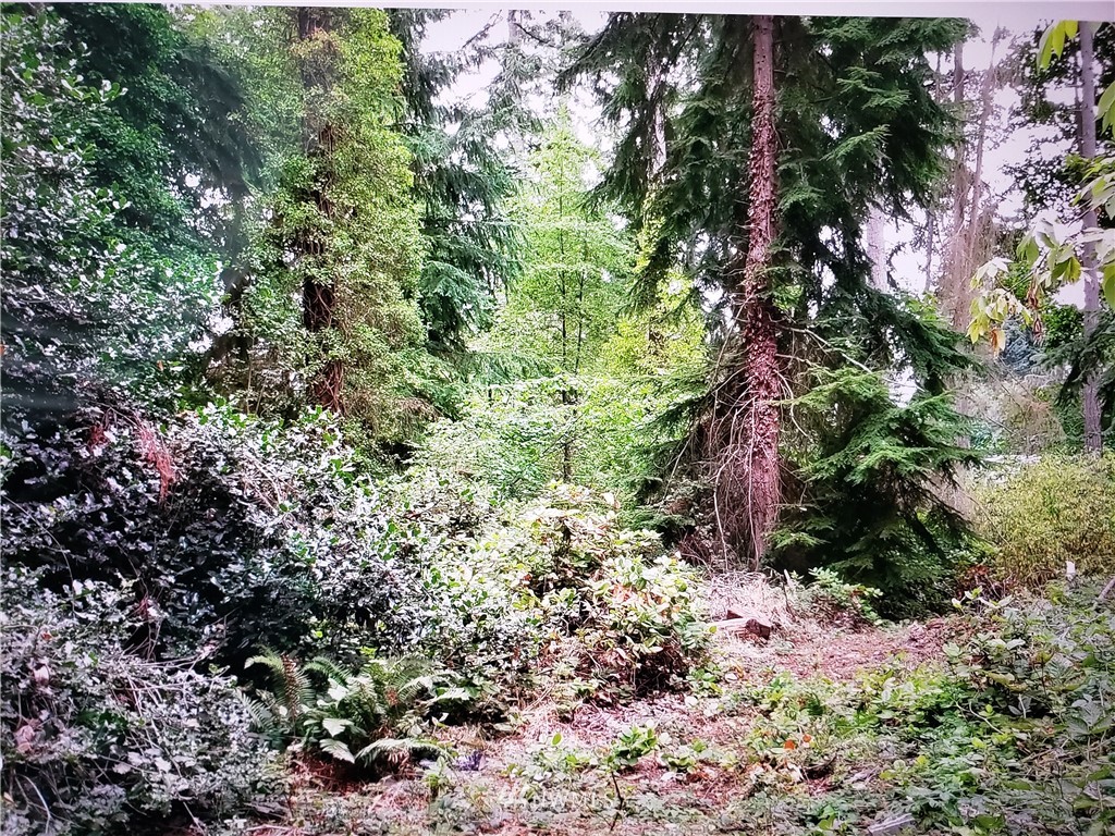 317 51st Avenue SW Federal Way WA 98023