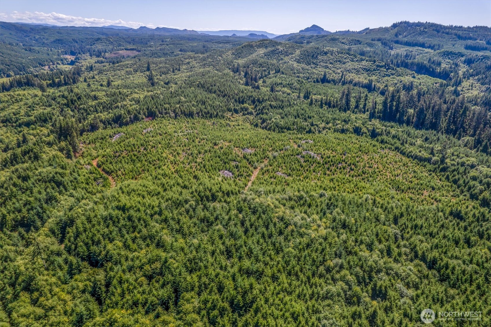 0 Eden Valley Road Rosburg WA 98643
