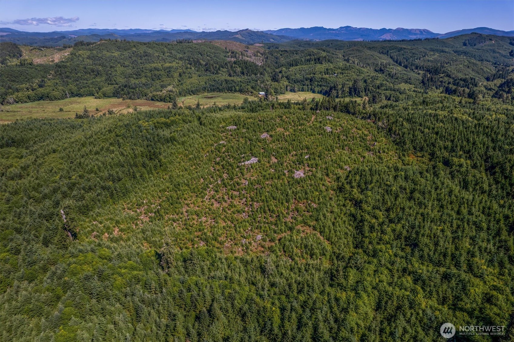 0 Eden Valley Road Rosburg WA 98643