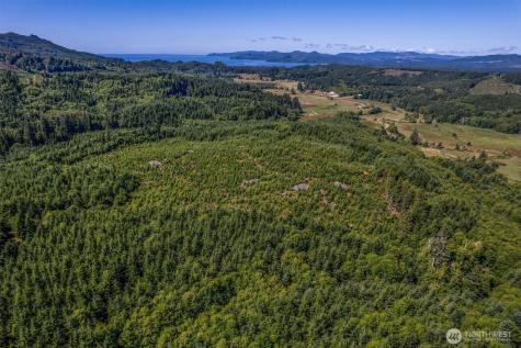 0 Eden Valley Road Rosburg WA 98643