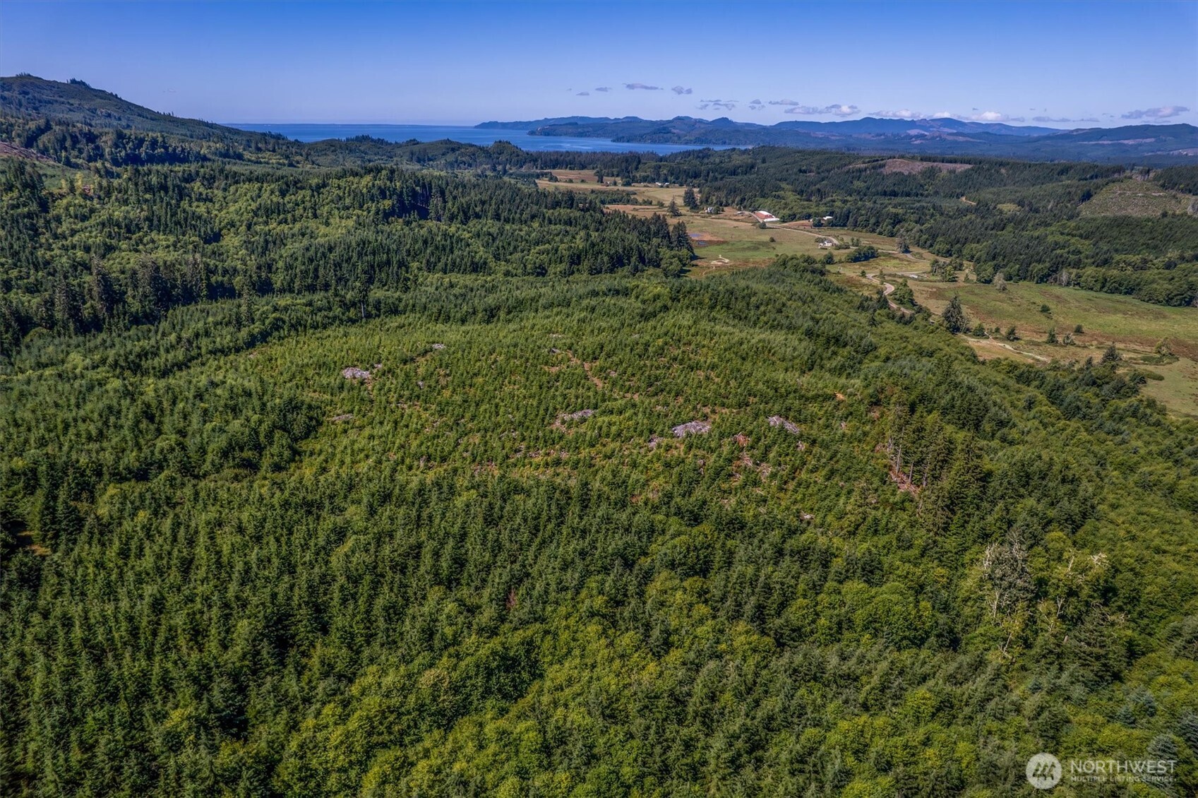 0 Eden Valley Road Rosburg WA 98643