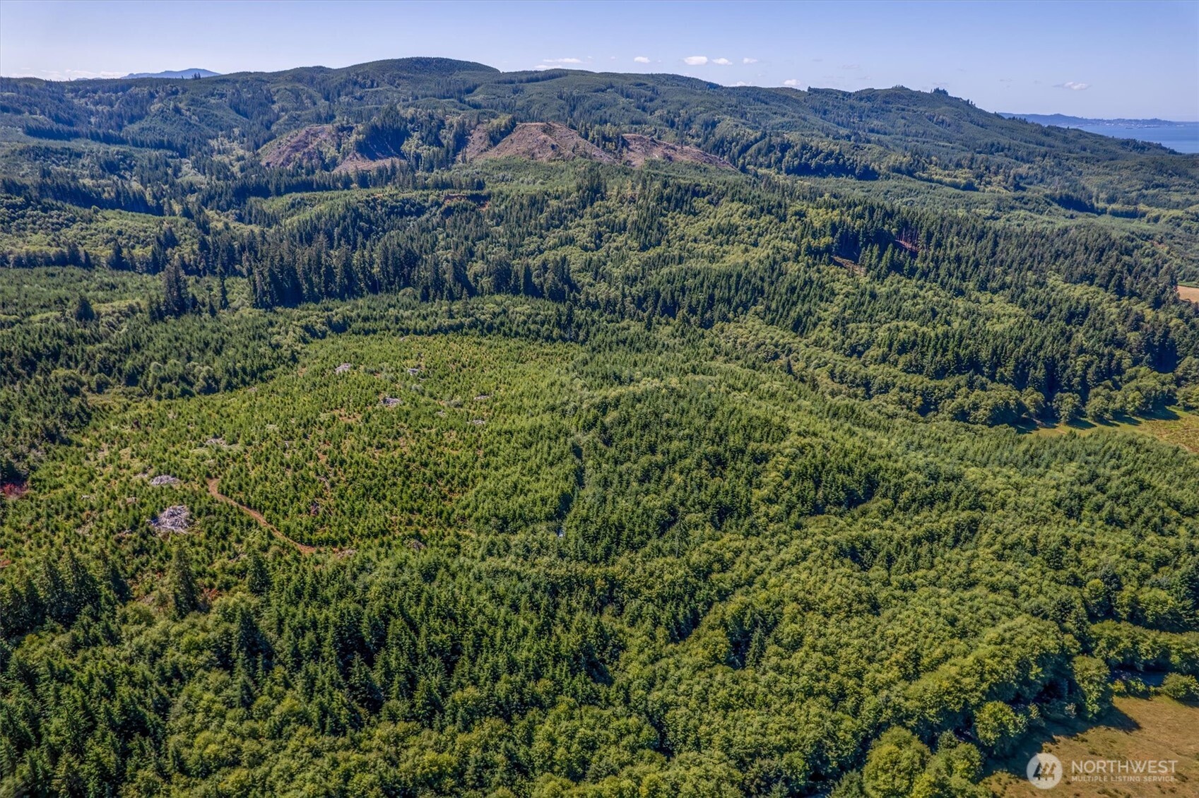 0 Eden Valley Road Rosburg WA 98643