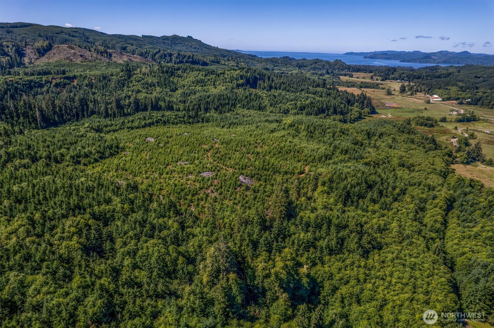 0 Eden Valley Road Rosburg WA 98643