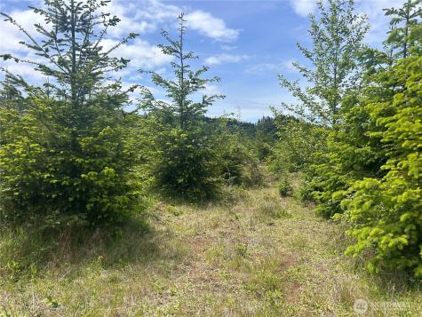 0 Eden Valley Road Rosburg WA 98643