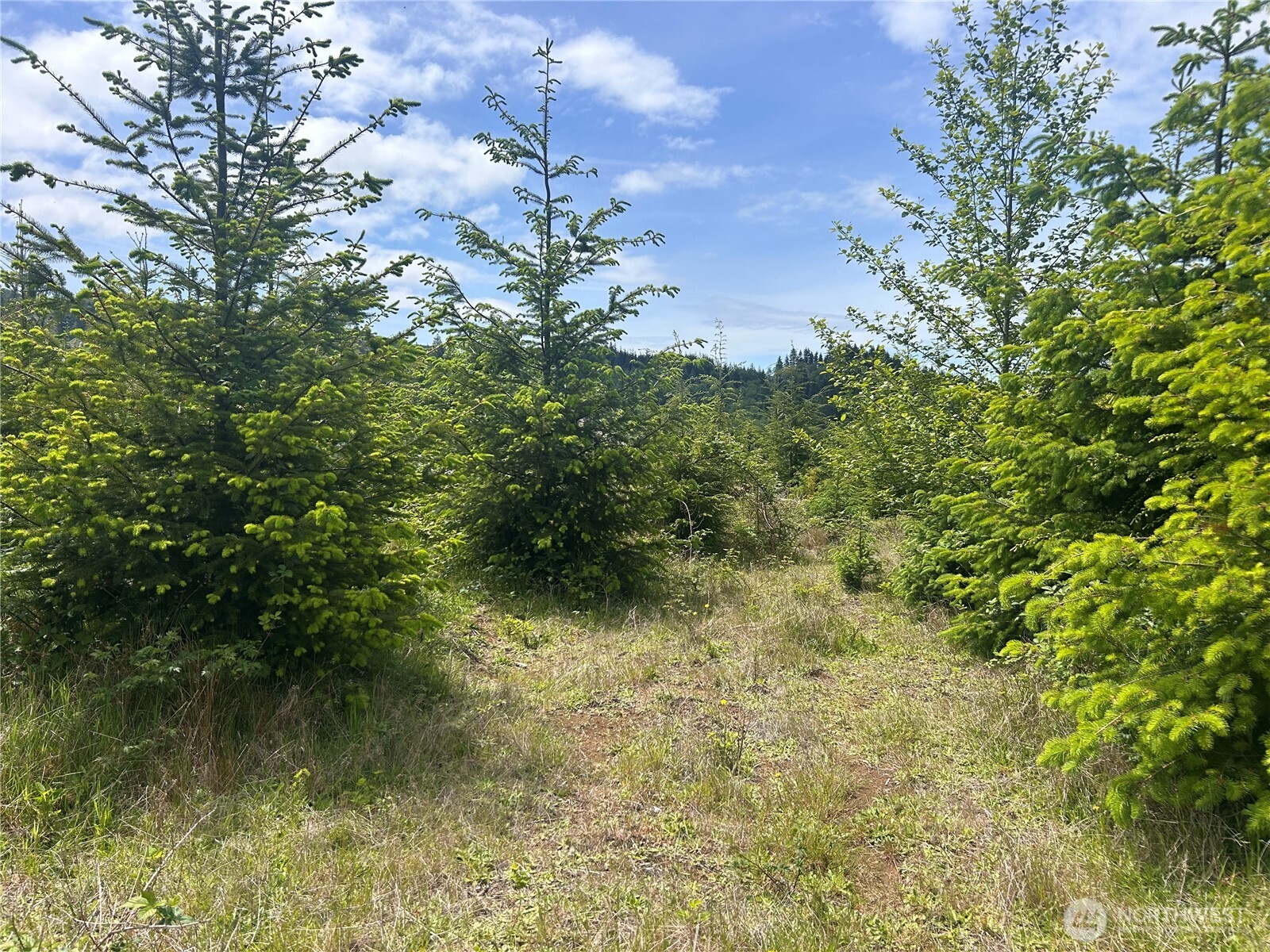 0 Eden Valley Road Rosburg WA 98643
