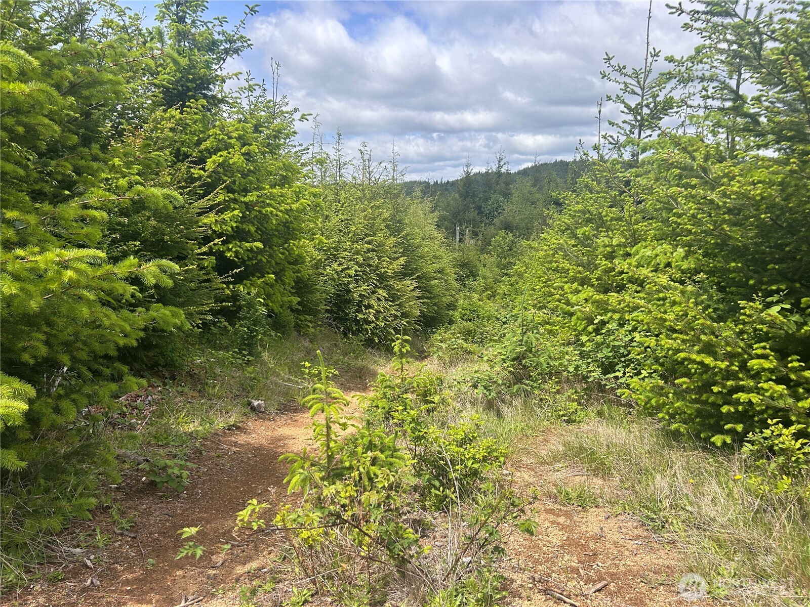 0 Eden Valley Road Rosburg WA 98643
