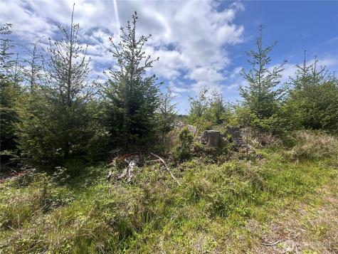 0 Eden Valley Road Rosburg WA 98643