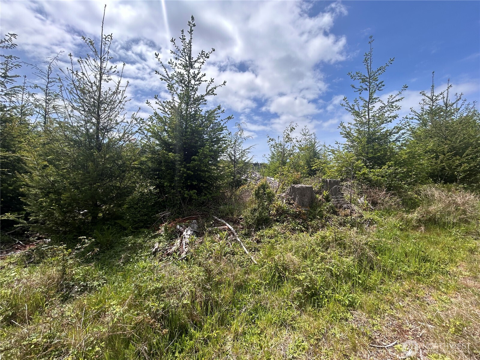 0 Eden Valley Road Rosburg WA 98643