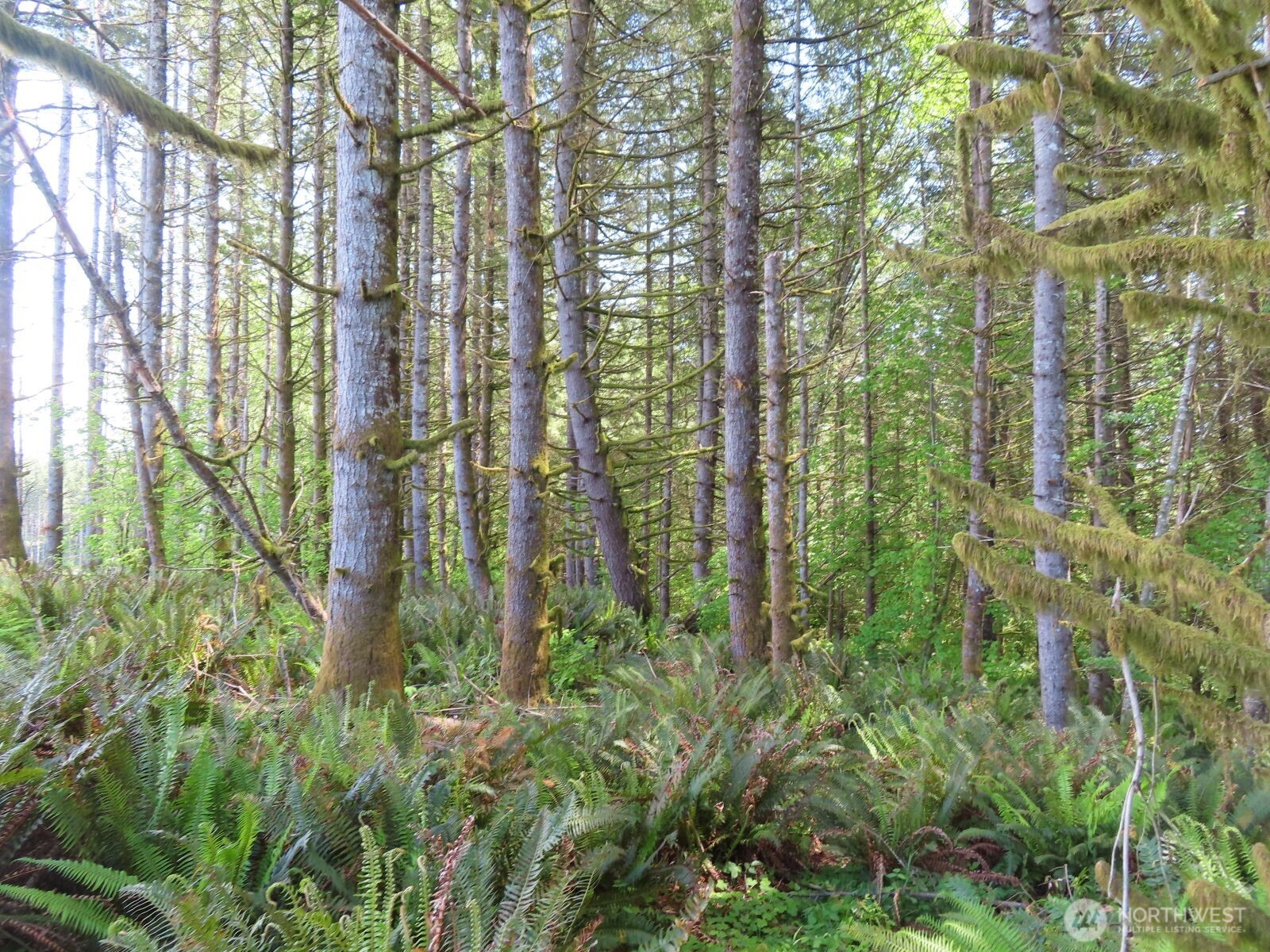 0 Hockett Road Onalaska WA 98570