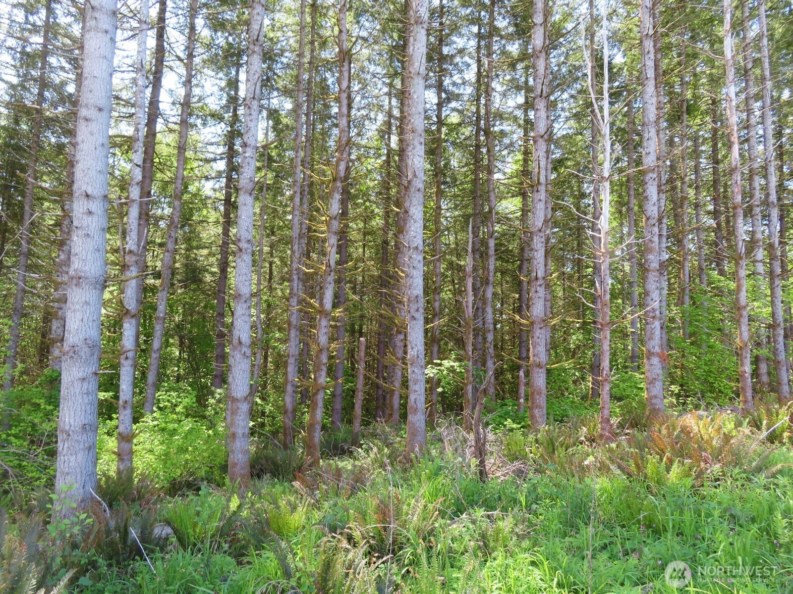 0 Hockett Road Onalaska WA 98570