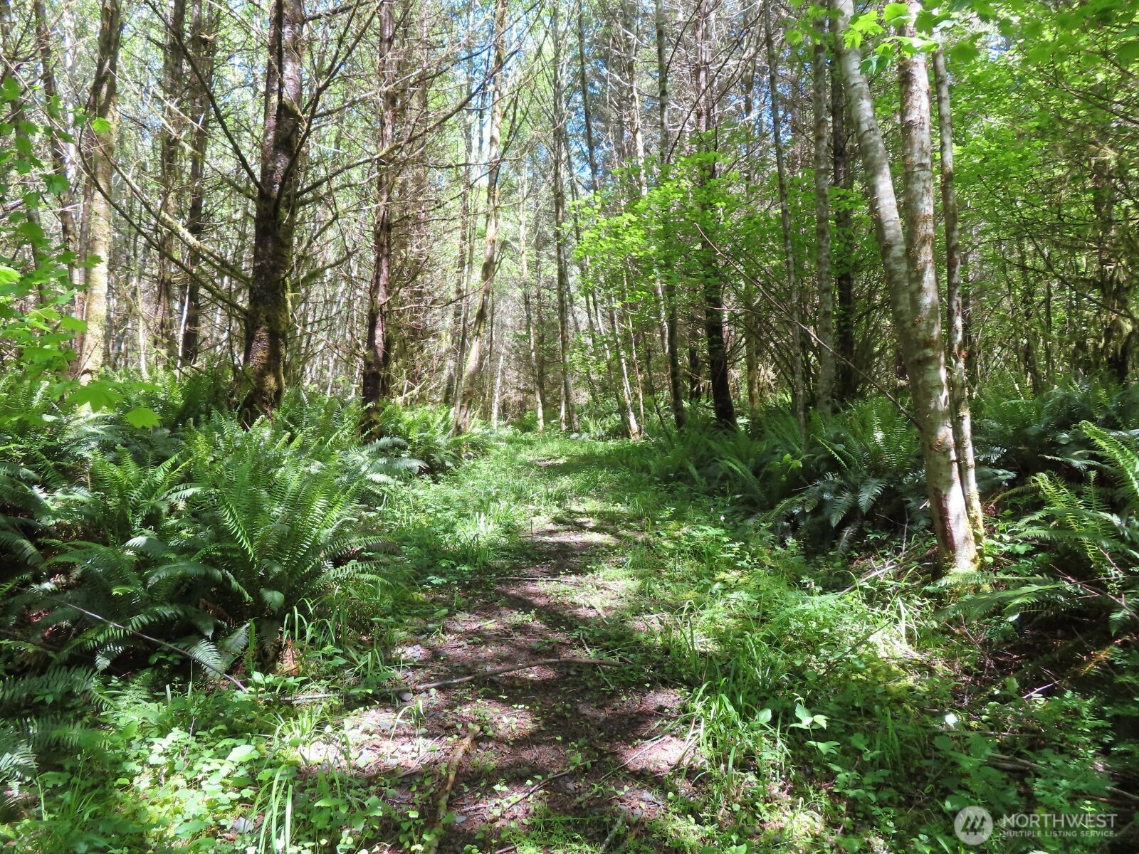 0 Hockett Road Onalaska WA 98570