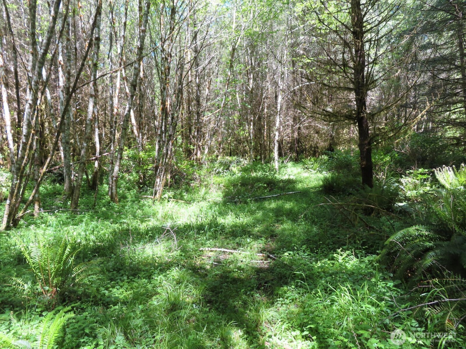 0 Hockett Road Onalaska WA 98570