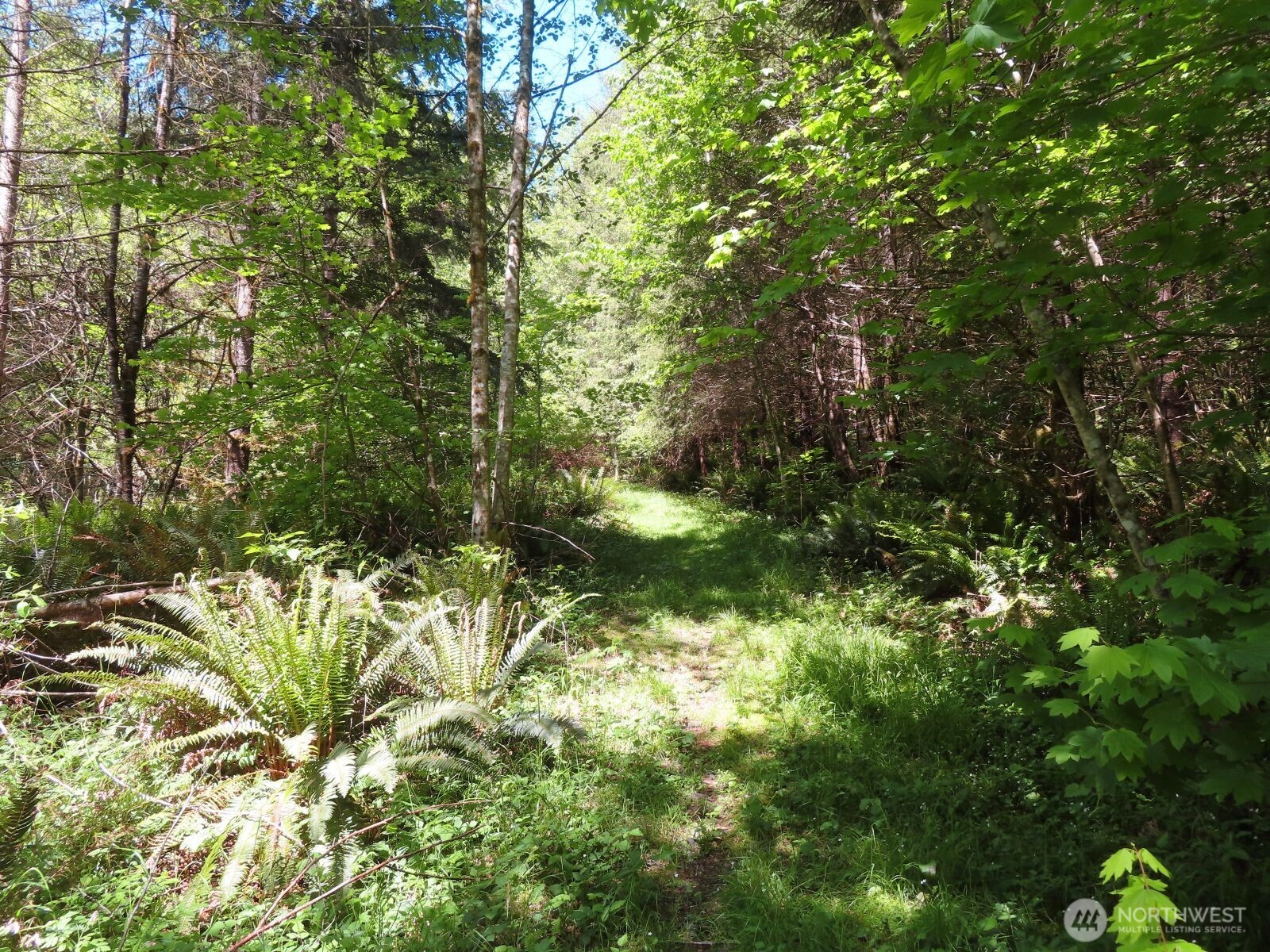 0 Hockett Road Onalaska WA 98570