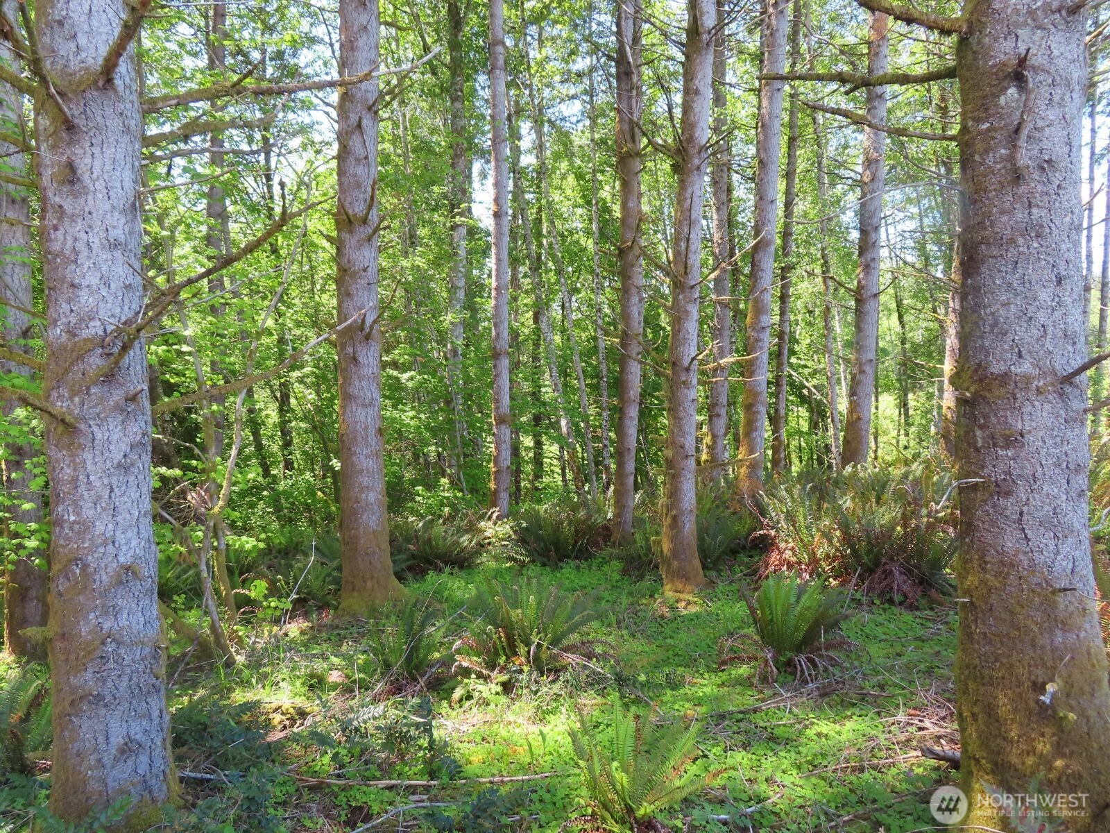 0 Hockett Road Onalaska WA 98570