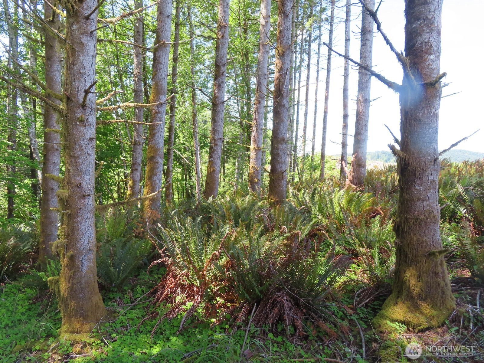 0 Hockett Road Onalaska WA 98570