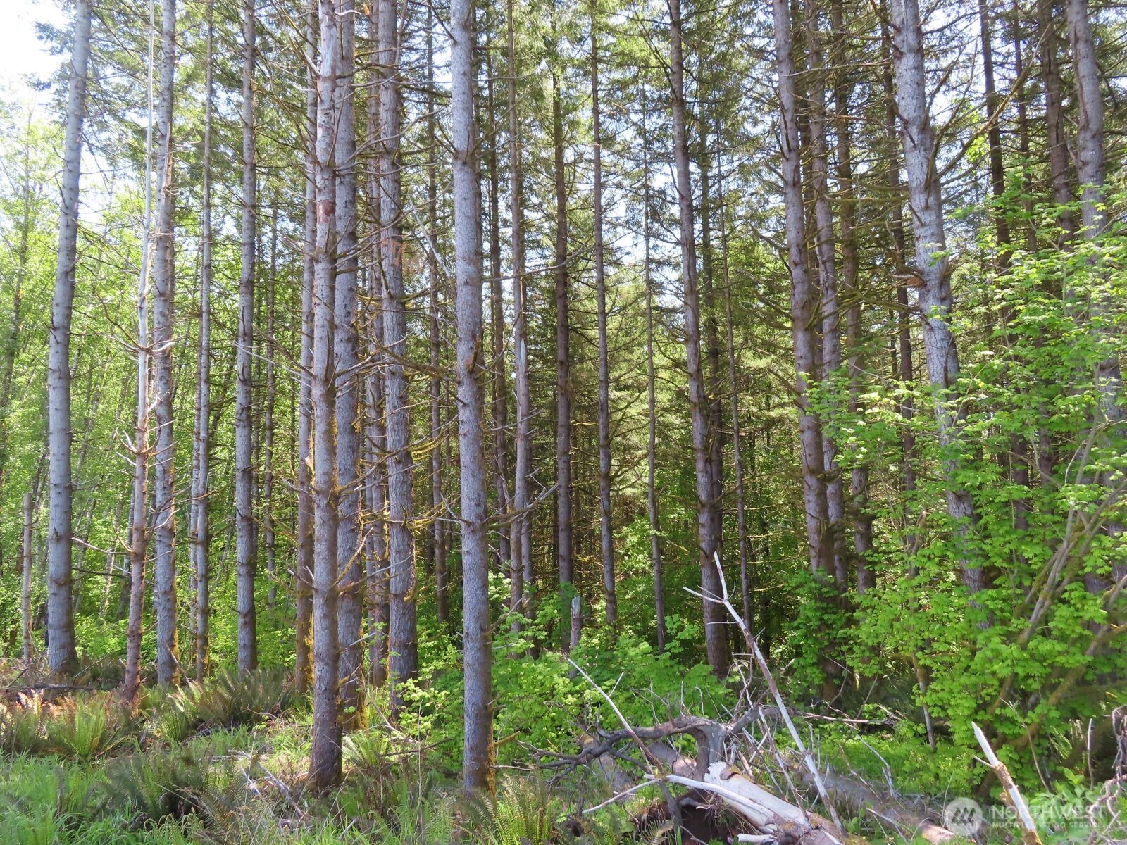 0 Hockett Road Onalaska WA 98570