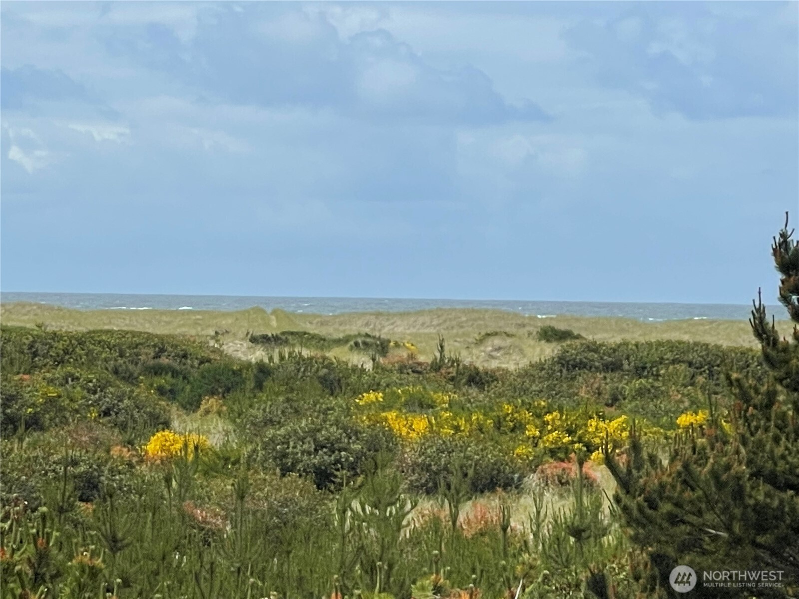 855 S Sand Dune Avenue SW Ocean Shores WA 98569