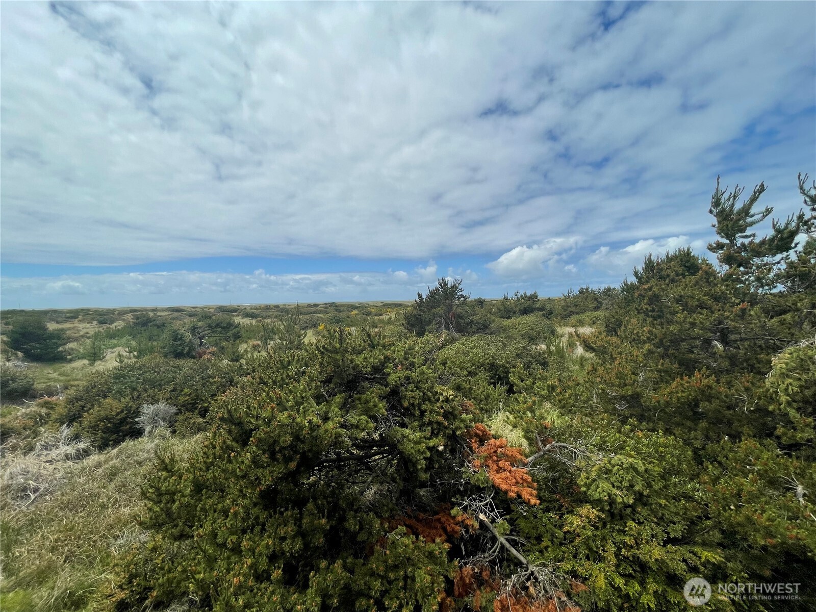 855 S Sand Dune Avenue SW Ocean Shores WA 98569