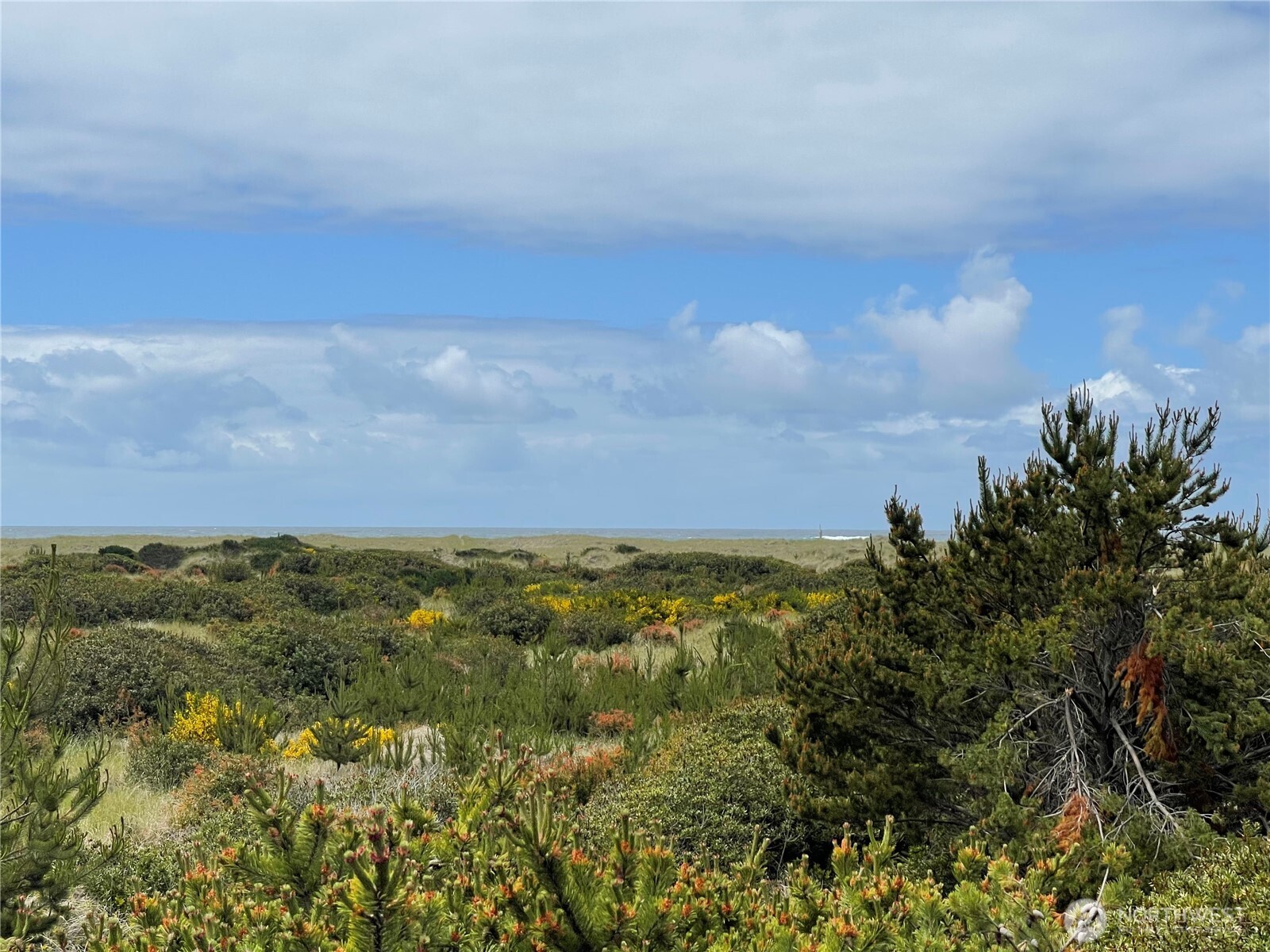 855 S Sand Dune Avenue SW Ocean Shores WA 98569