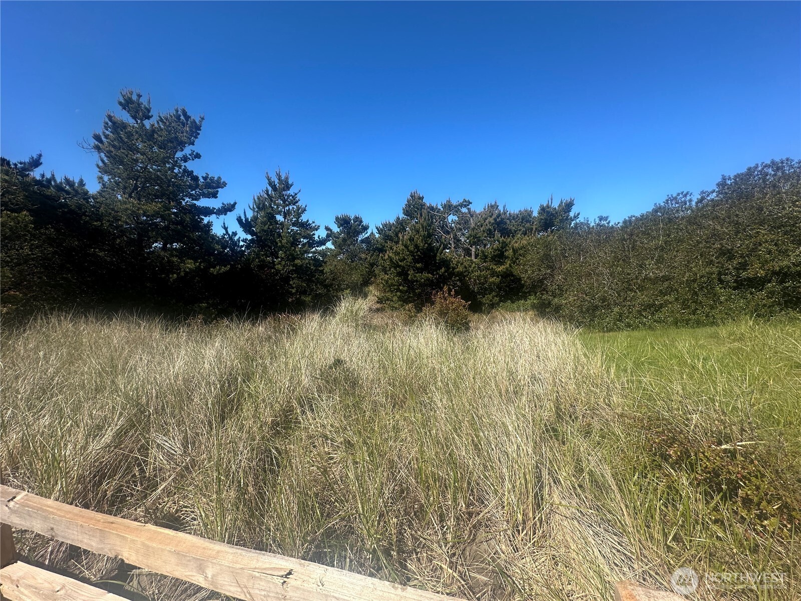 855 S Sand Dune Avenue SW Ocean Shores WA 98569