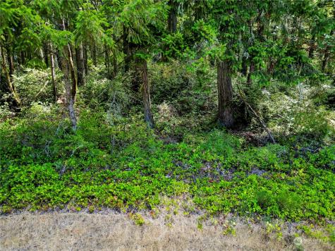 10205 Eckenstam Johnson Road Anderson Island WA 98303