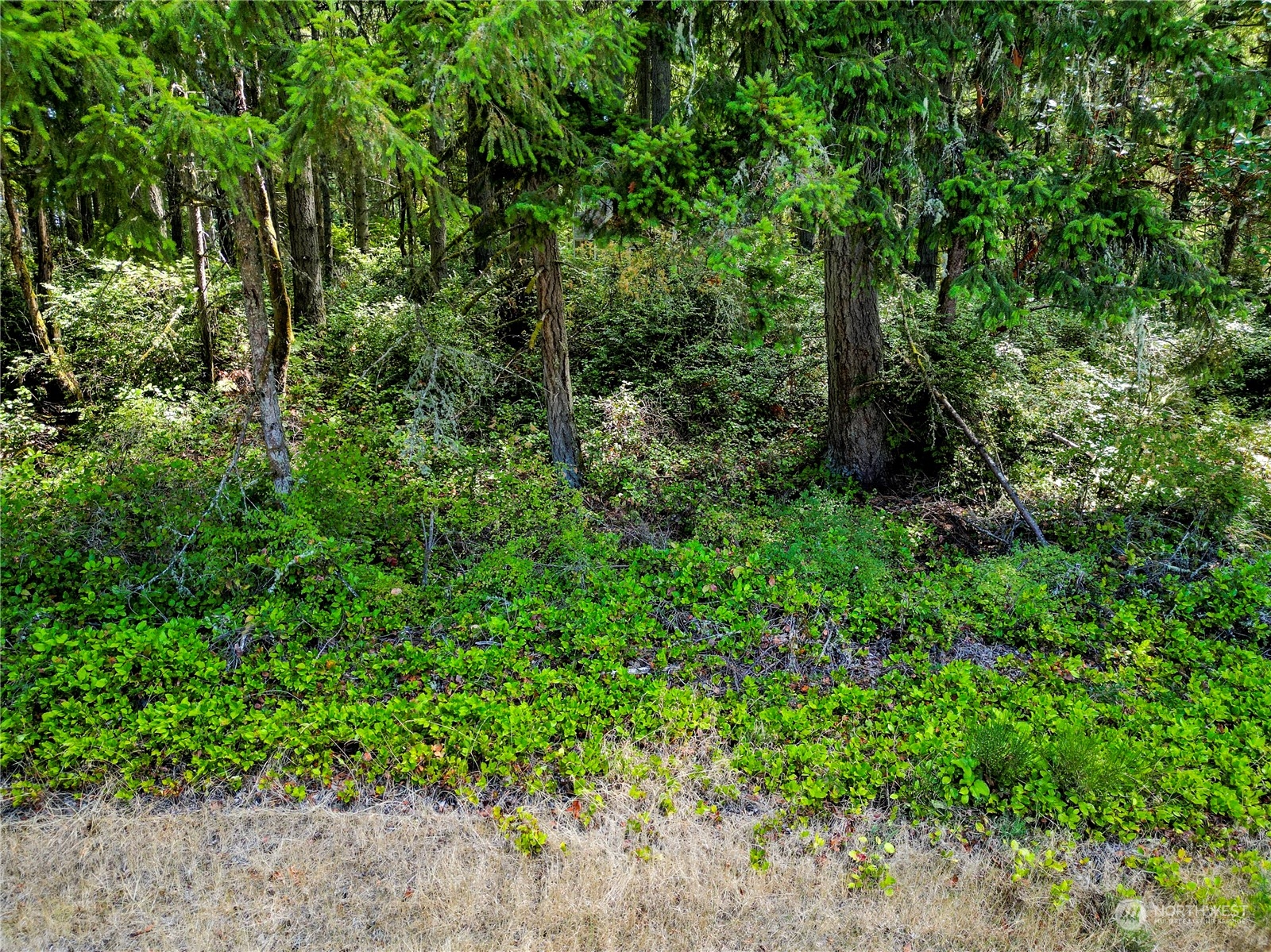 10205 Eckenstam Johnson Road Anderson Island WA 98303