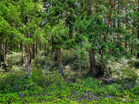 10205 Eckenstam Johnson Road Anderson Island WA 98303