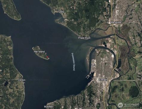 11 Hat Island Walk Everett WA 98206
