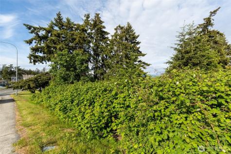 0 State Route 20 (Lot 3) Oak Harbor WA 98277