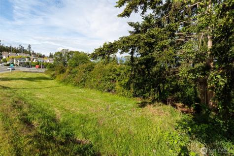 0 State Route 20 (Lot 3) Oak Harbor WA 98277