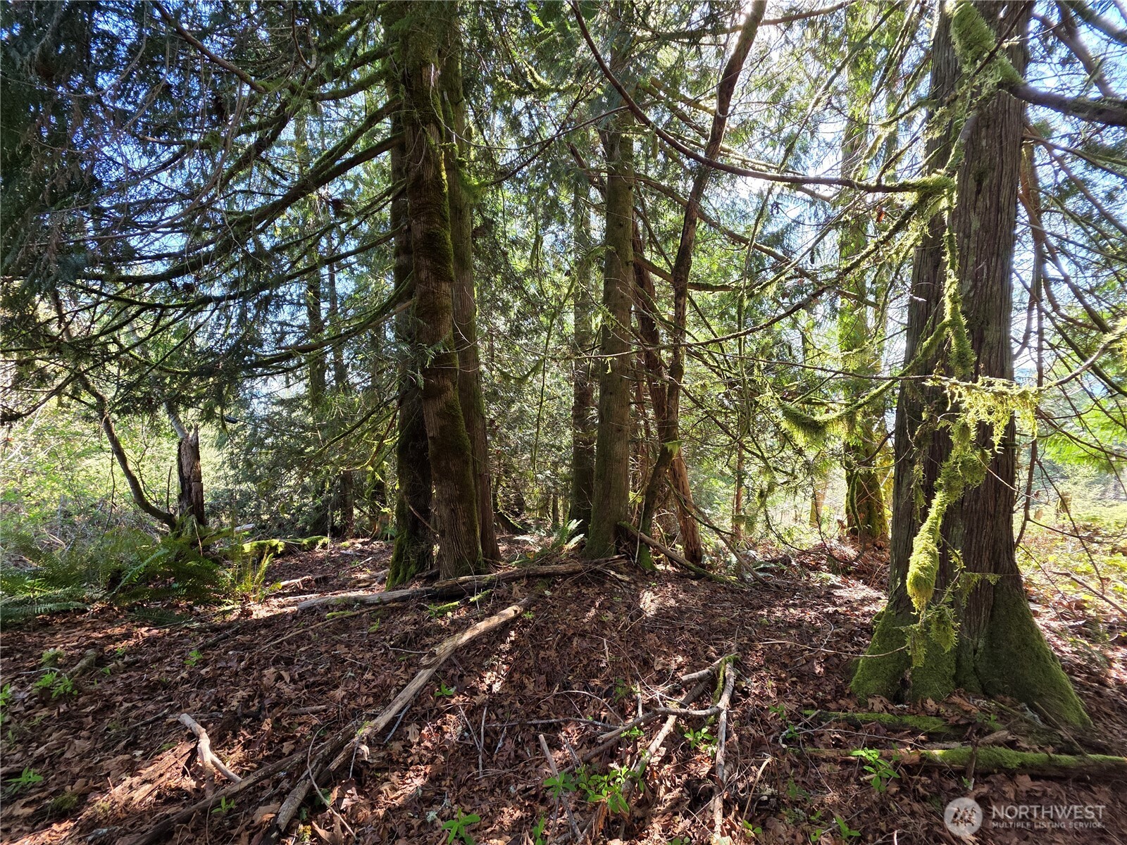 0 Cedar Place Brinnon WA 98320